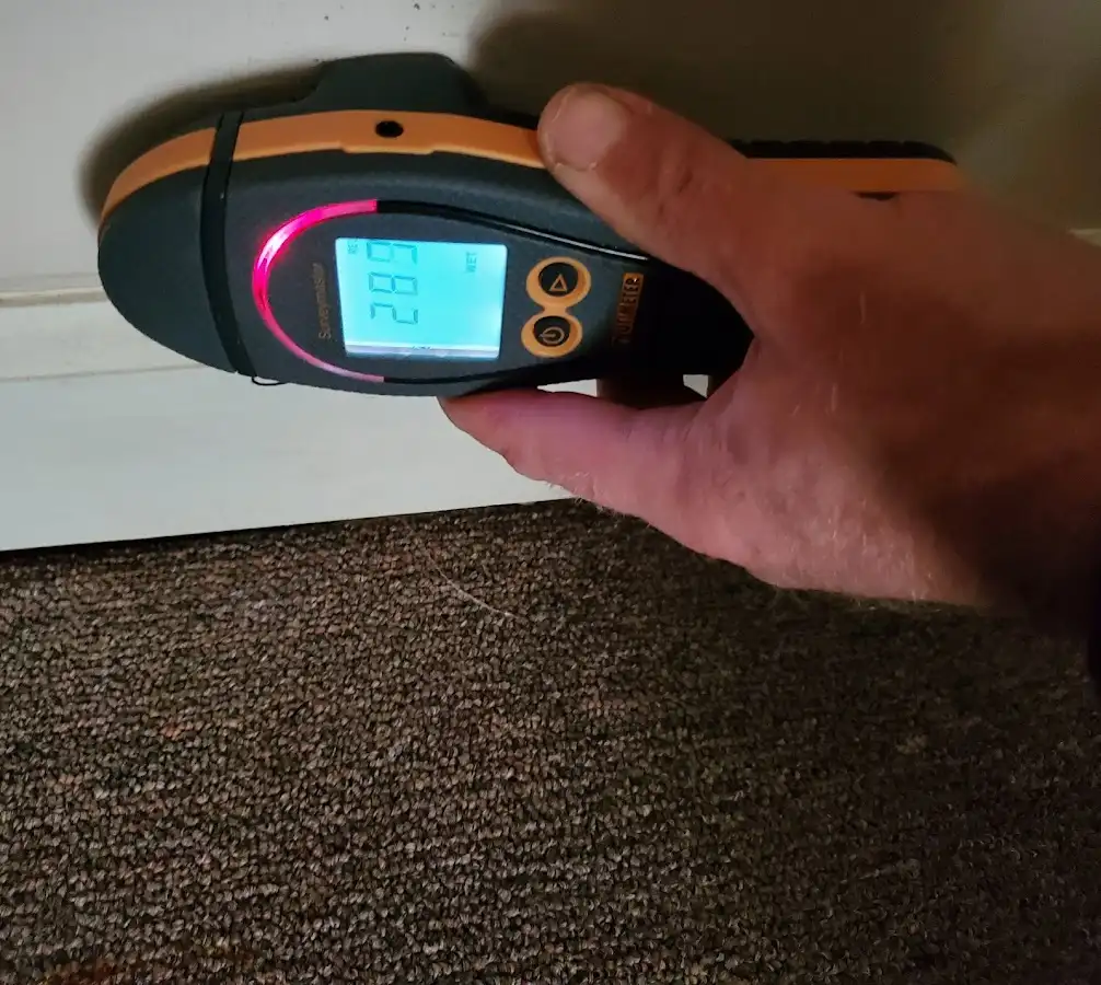 Moisture detection at baseboard during Sewage Cleanup & Sanitation in South San Gabriel